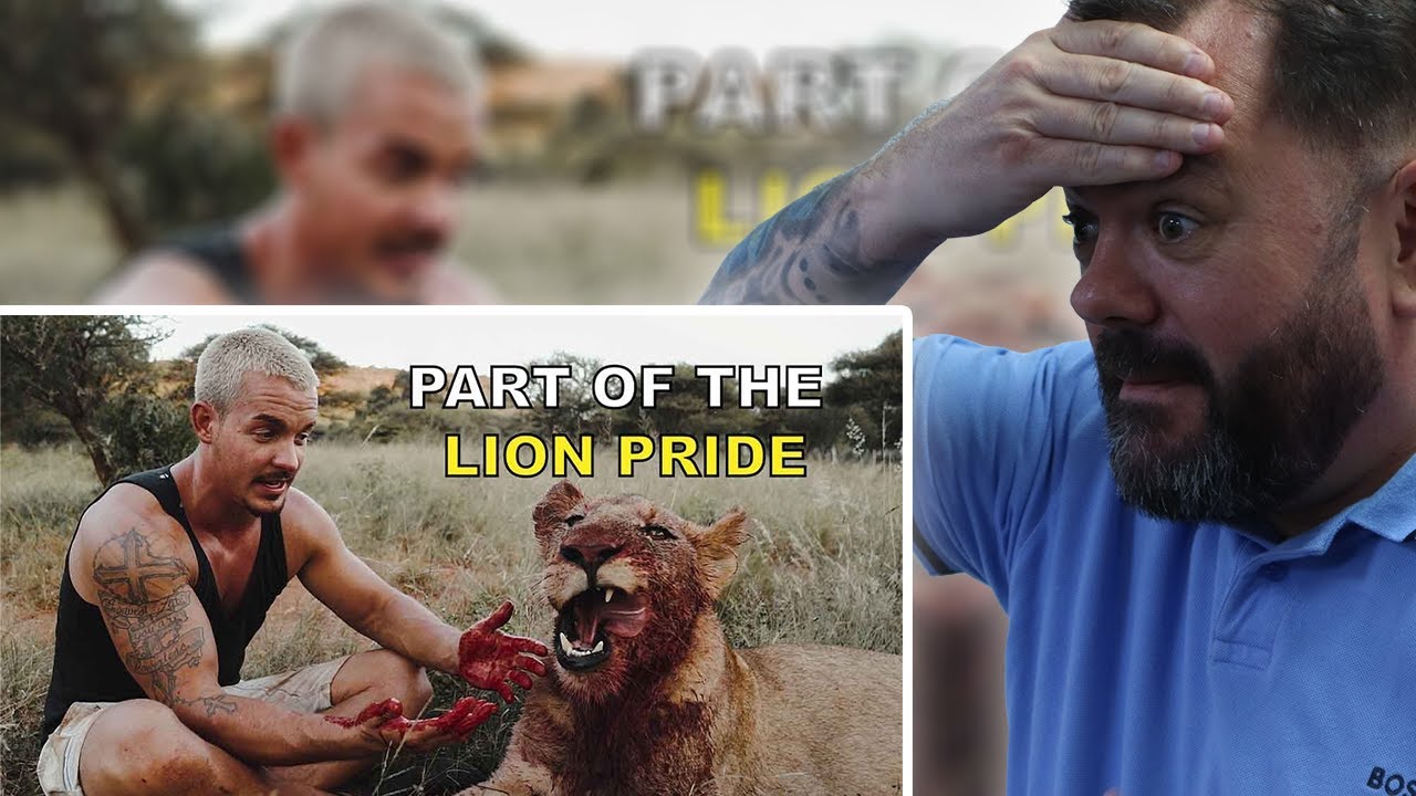 BRITS React to Part of the Lion Pride - Dean Schneider living with lions