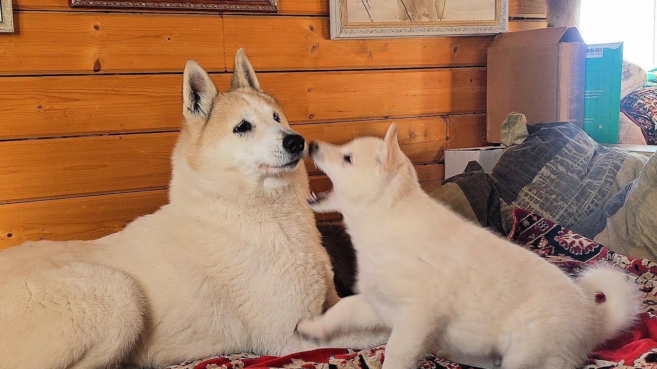 Всё меняется 