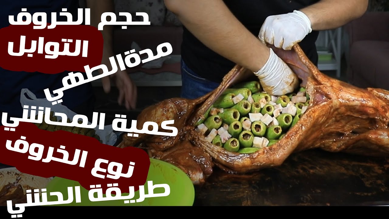 كل ما تحتاج معرفته لعمل خروف محشي ورق عنب و كوسا