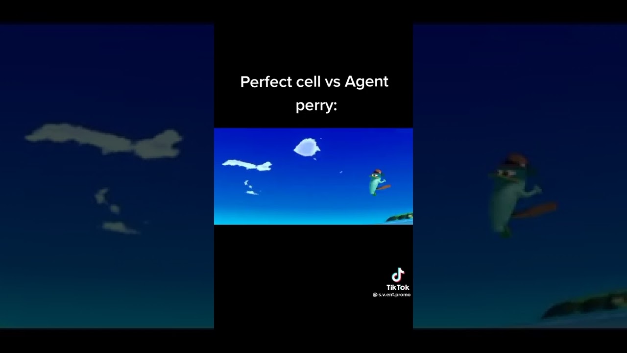 Funny TikTok