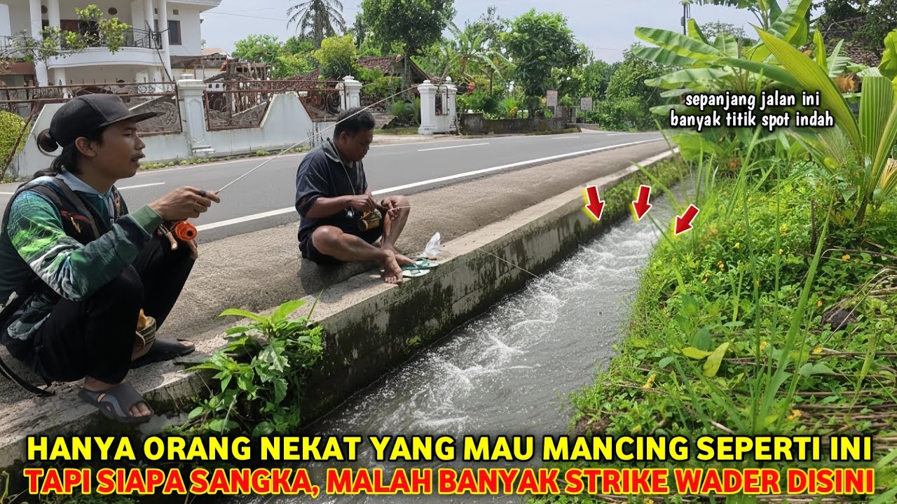 🍃 HANYA ORANG NEKAT YG MAU MANCING SEPERTI INI ‼️ SIAPA SANGKA MALAH STRIKE BANYAK WADER DISINI 💚