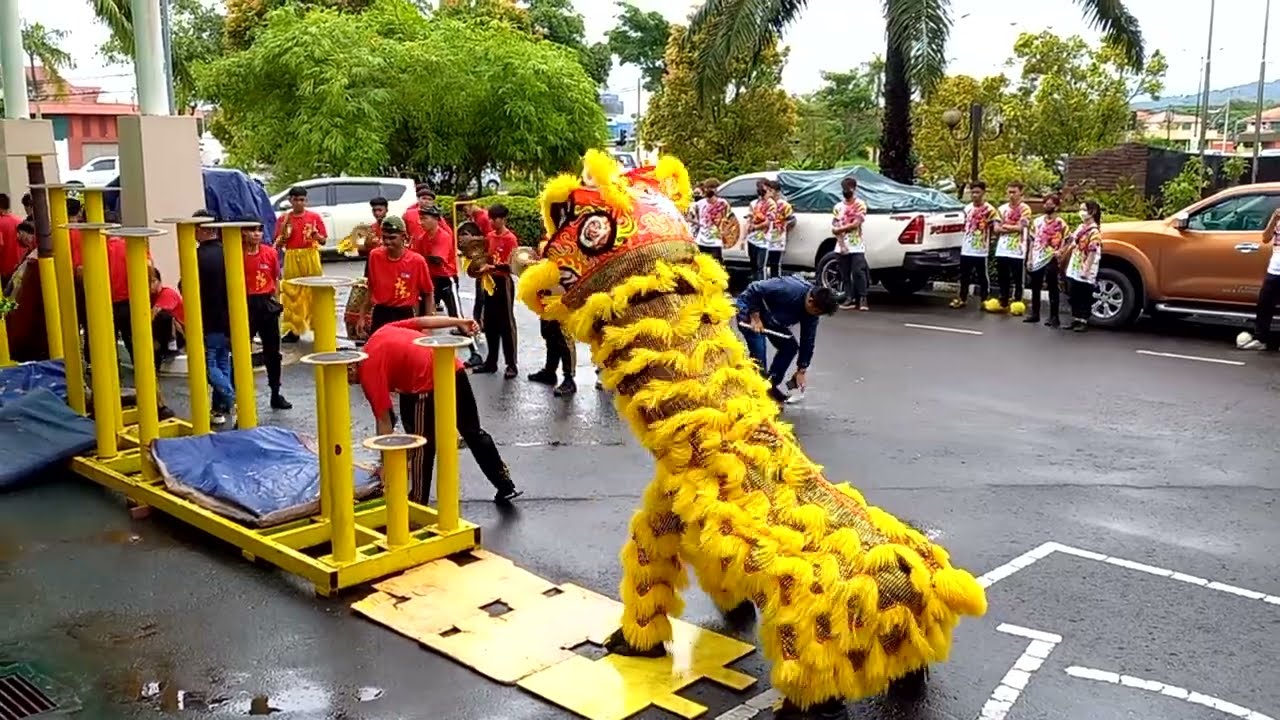 Lion Dance high pole performance @ Sandakan Sabah