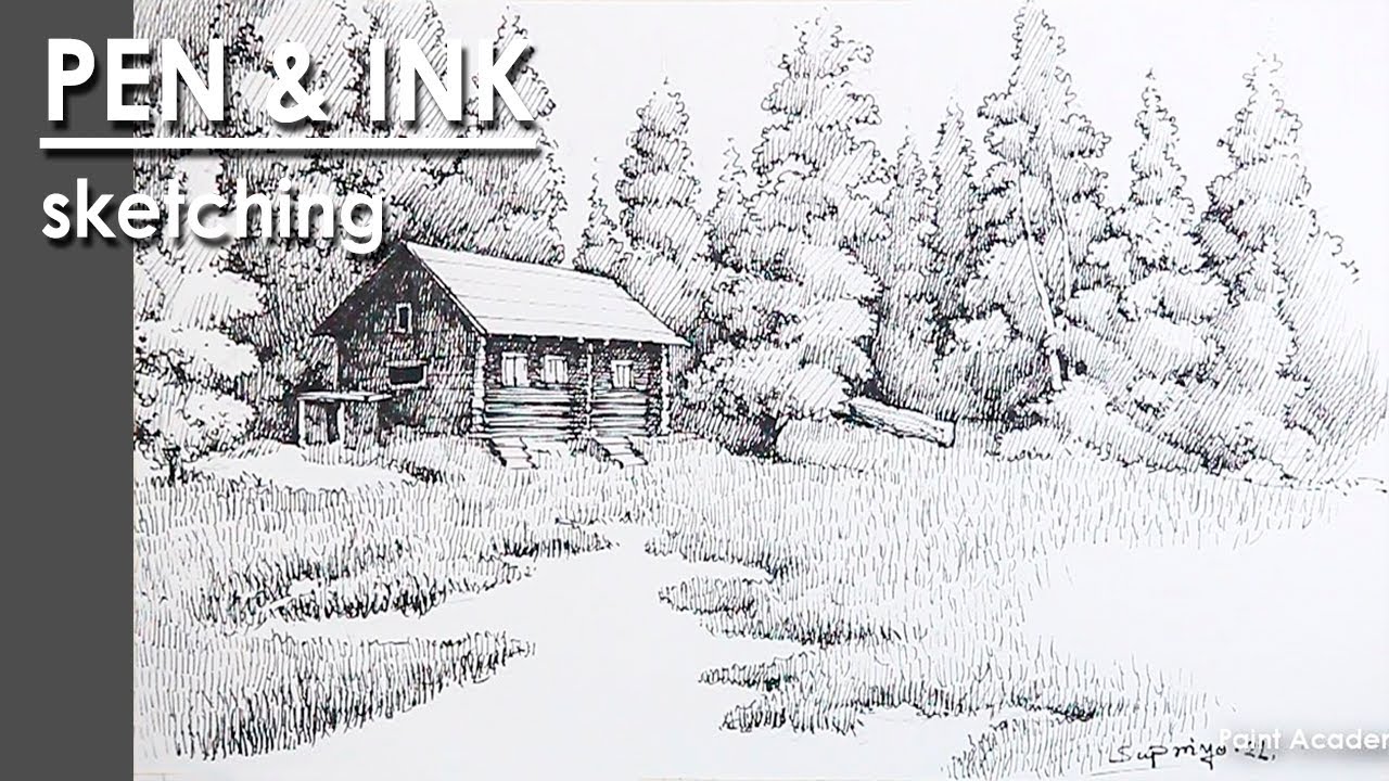 Pen & Ink Landscape | A Burn in the Woods | step by step sketching