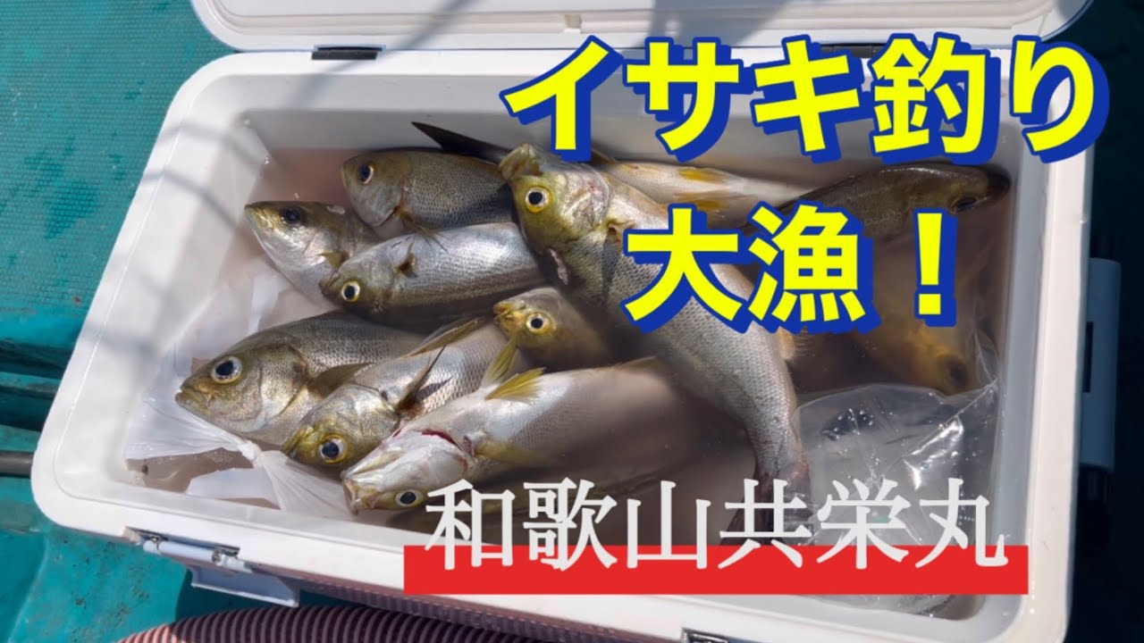 【イサキ釣り】和歌山共栄丸で初めてのイサキ釣り