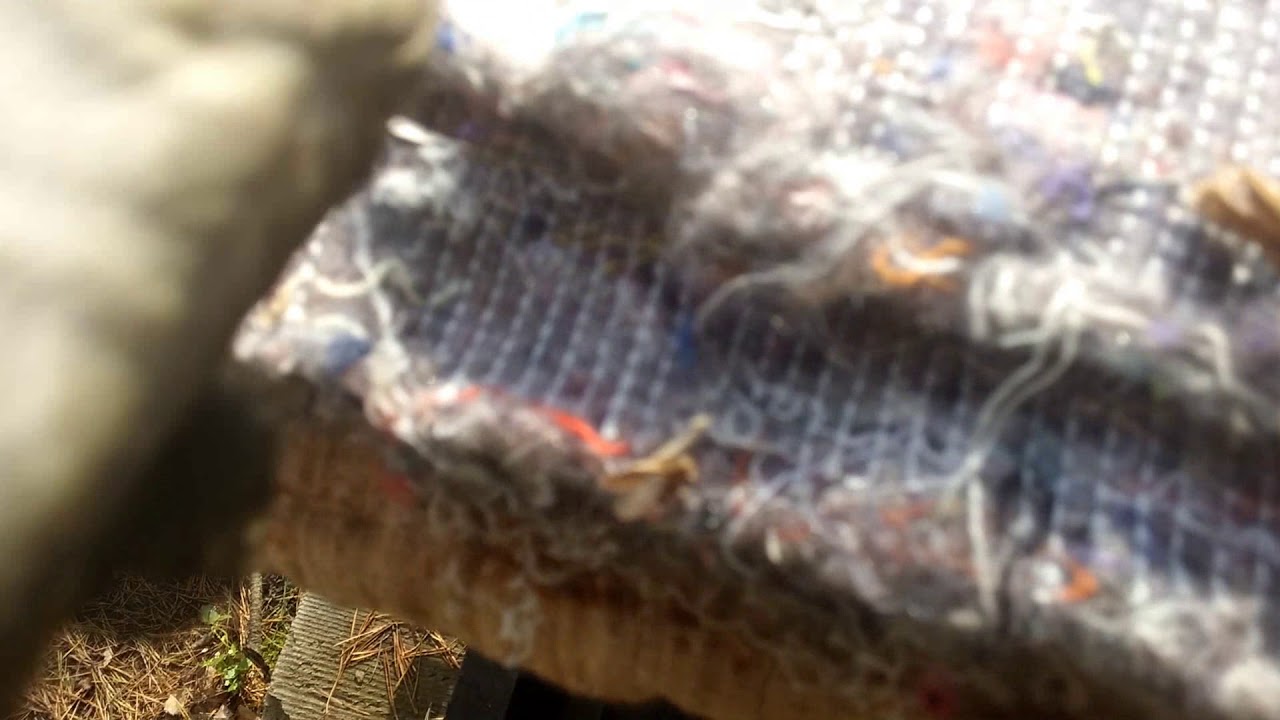 BeeRoyal - Pasieka w Październiku. Pszczoły noszą świeży pyłek. Pająk zjada motylice.
