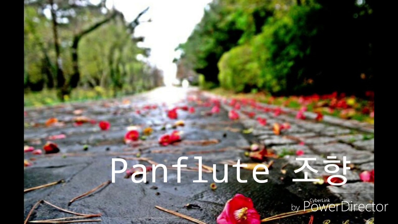 사랑이 지나가면 - 조향숙 팬플룻(Cho HyangSuk Panflute cover)