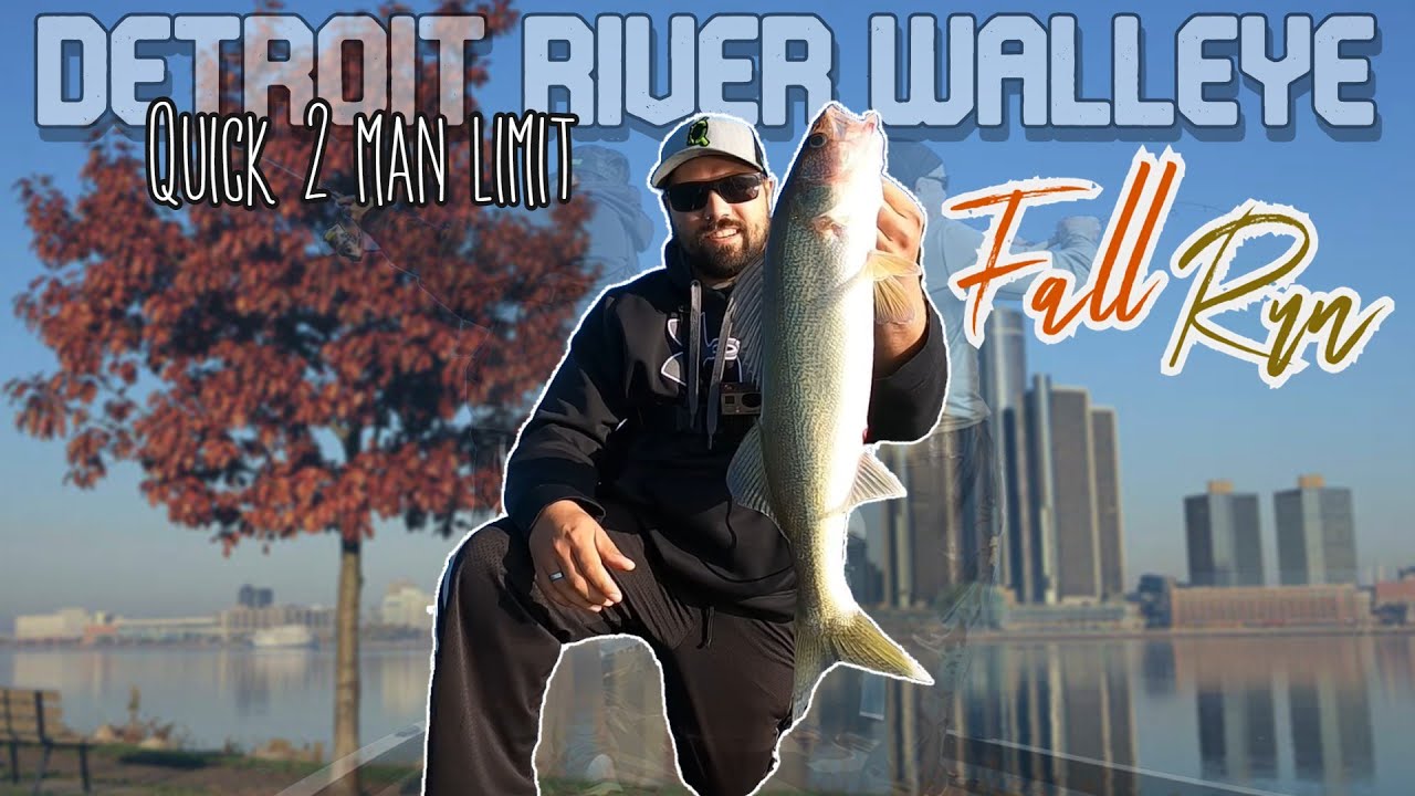 2024 Detroit River Fall Walleye REPORT | 2 man limit in an HOUR #detroitriver #walleye #fishing