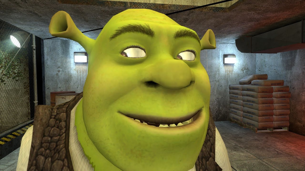 CHASING SHREK IS EVERYWHERE
