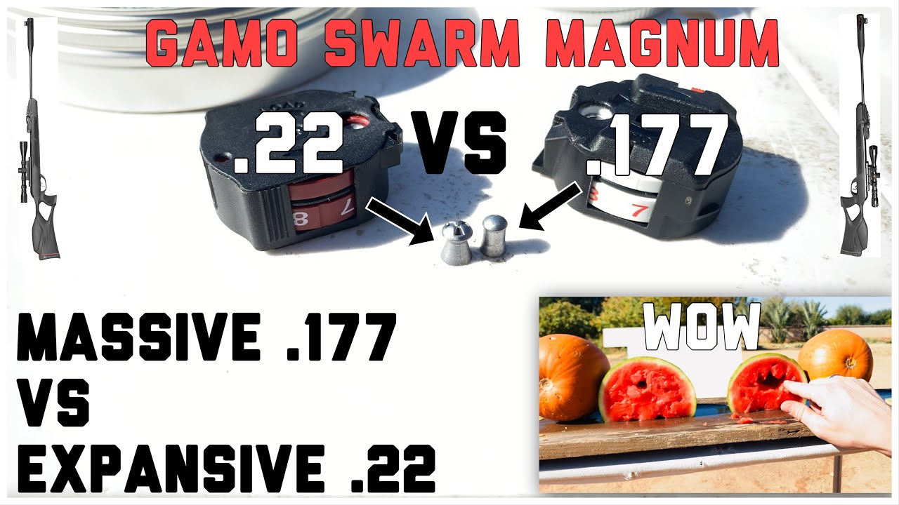 .177 Cal против .22 Cal Gamo Swarm Magnum Challenge | Сравнение самых больших .177 и самых широки...