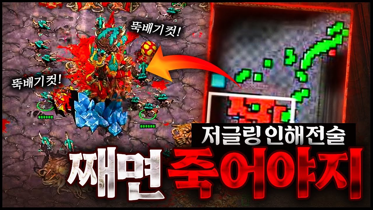 째고 있는 저그에게 초반 서프라이즈 기습 저글링을 해버렸더니?? 순식간에 전세역전!