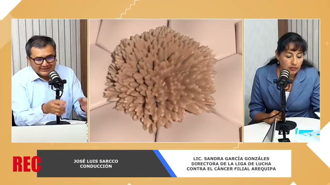 🔵 📽#envivo #arequipa || Programa: REC (lunes 09 de febrero de 2026)