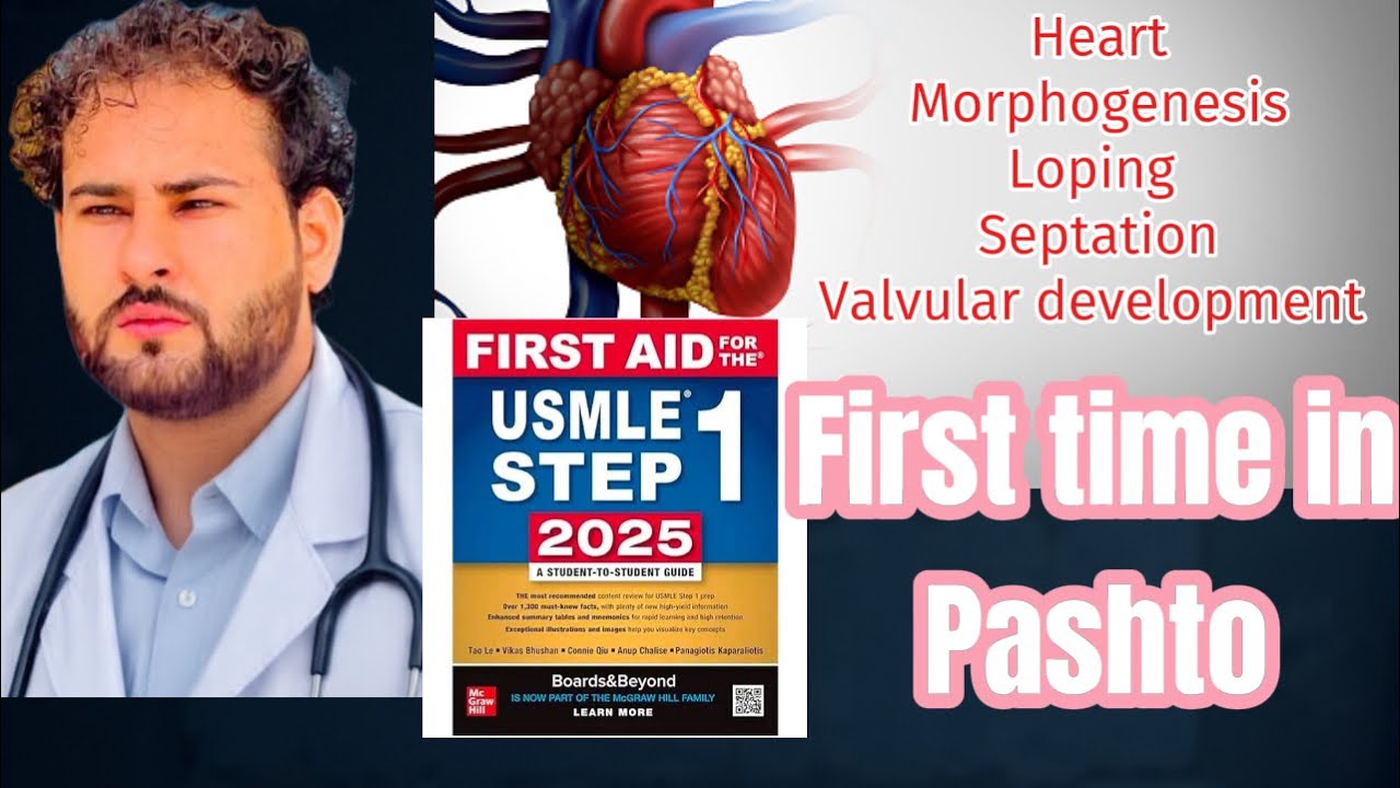USMLE First aid step 1 CVS embryology lecture no 1 in Pashto 