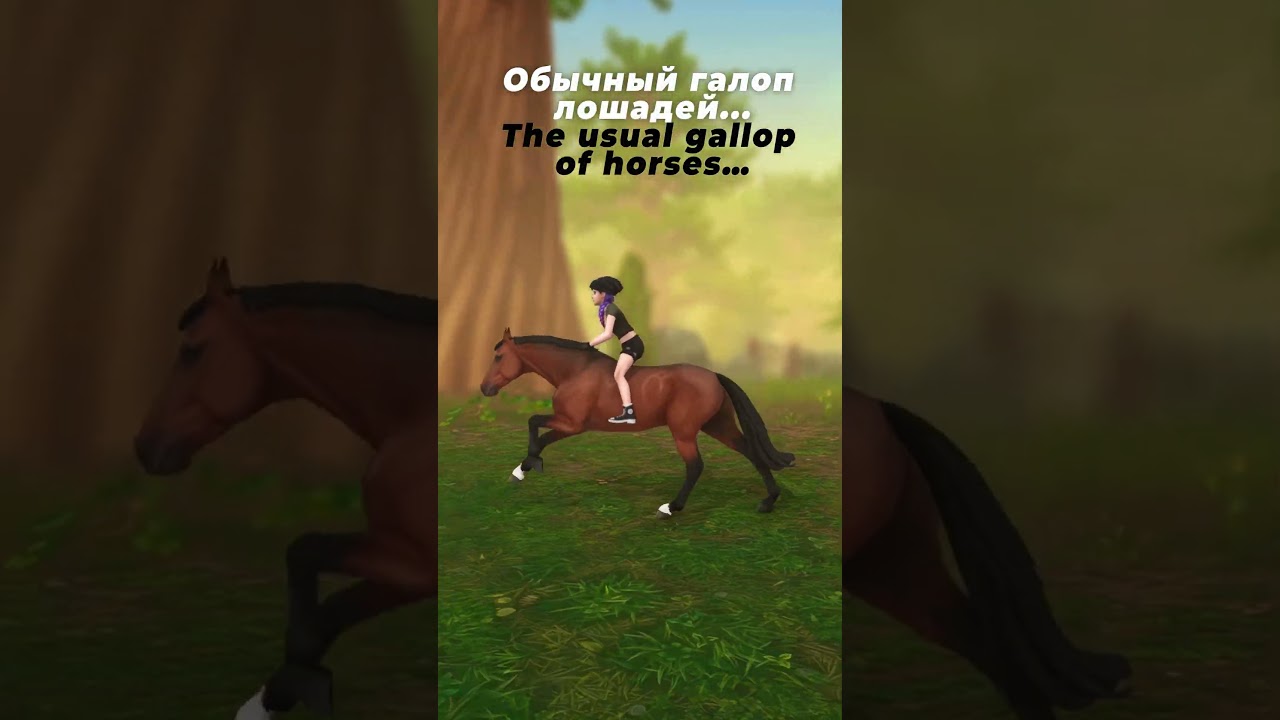 🏇🥰  тг Pretty Channel #horse #starstable