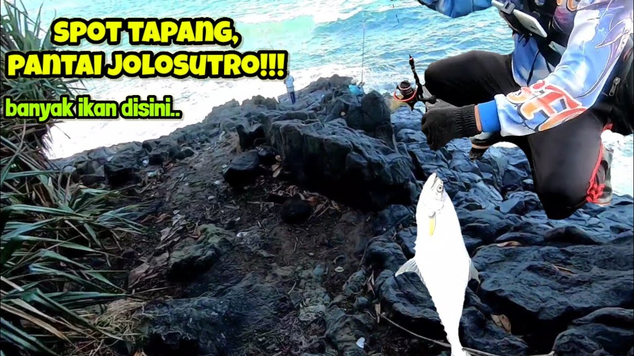 ultralight rock fishing | BANYAK SEKALI IKAN TAPI MENYEBALKAN | SPOT TAPANG PANTAI JOLOSUTRO BLITAR