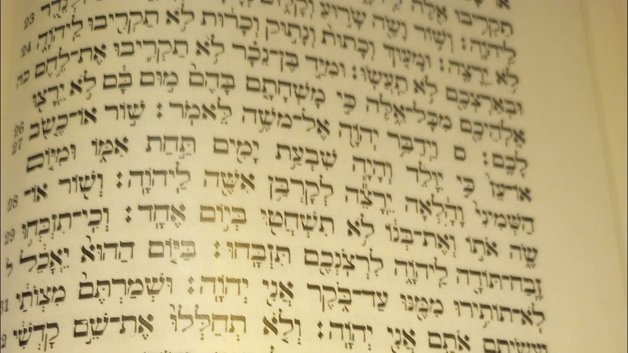 Leviticus Chapter 22 Verses 17 - 33