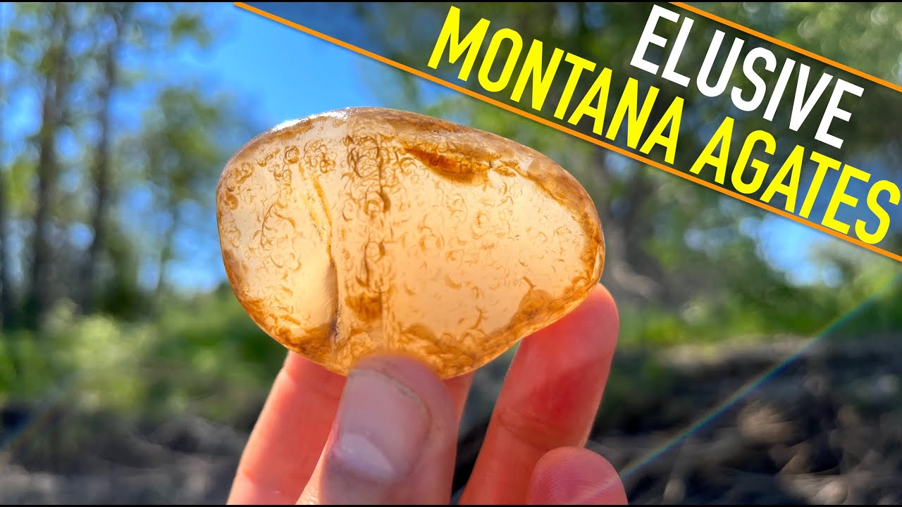 THE RIVER DELIVERS!!! A Remarkable Rock Hunt On The Yellowstone River for Montana Agate