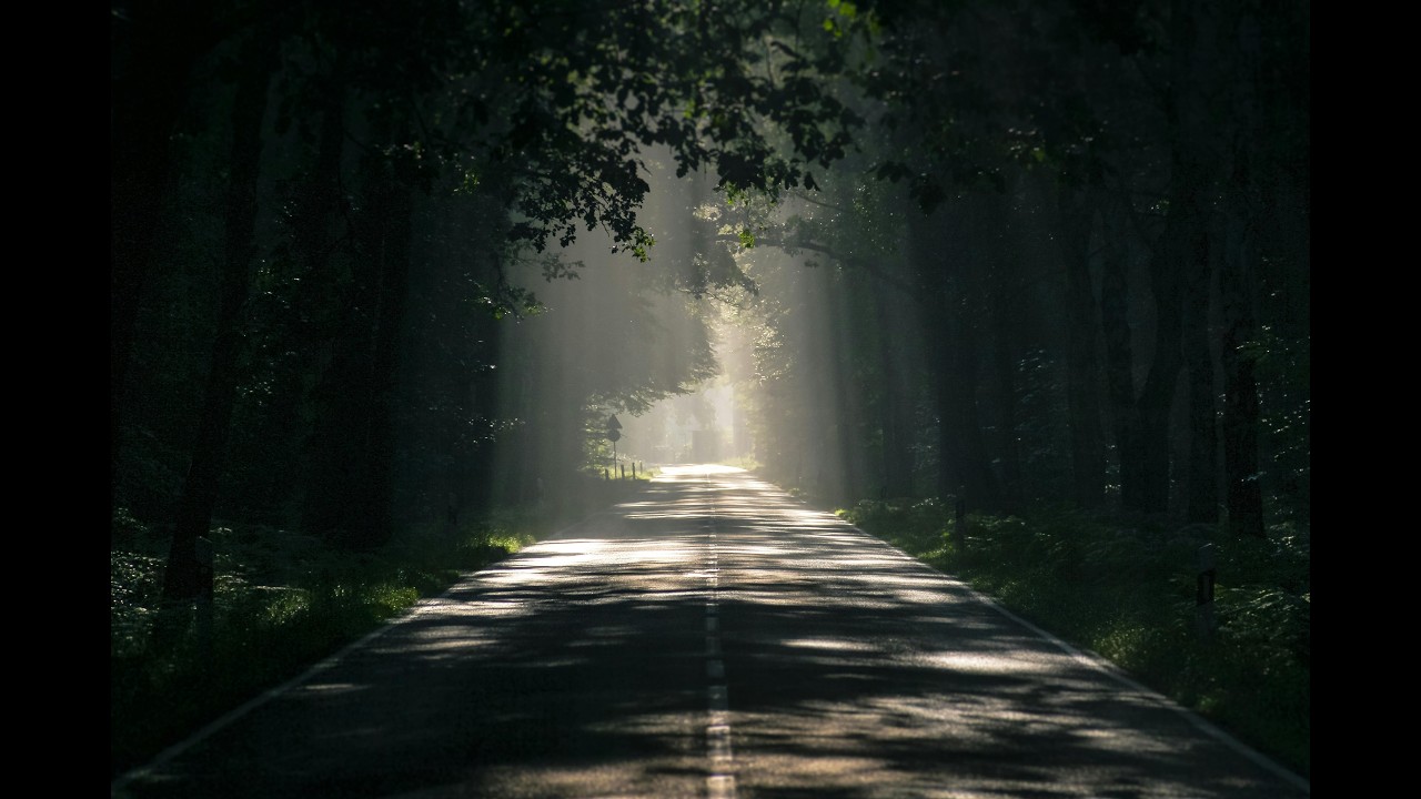 Rainy Forest Road Ambience -  Relaxing Classical Music for Study, Sleep & Anxiety Relief