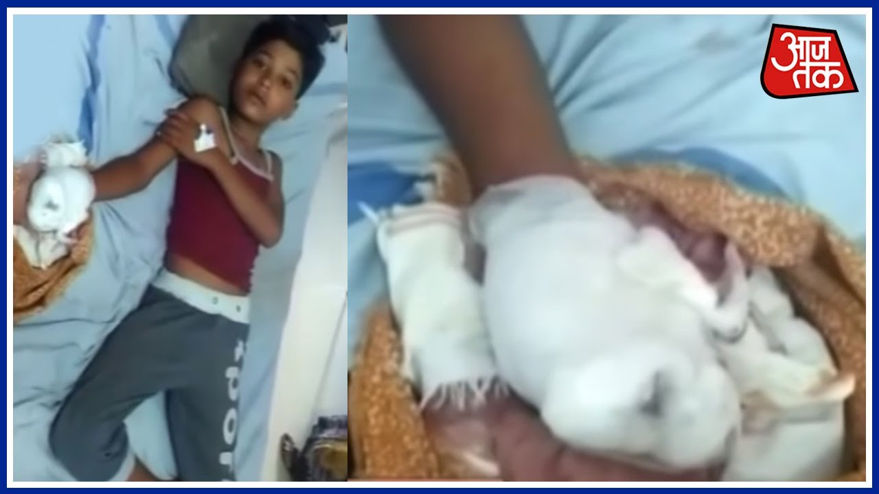 Eleven Year Old Lost His Finger In Mobile Phone Explodes In Sihora Madhya Pradesh