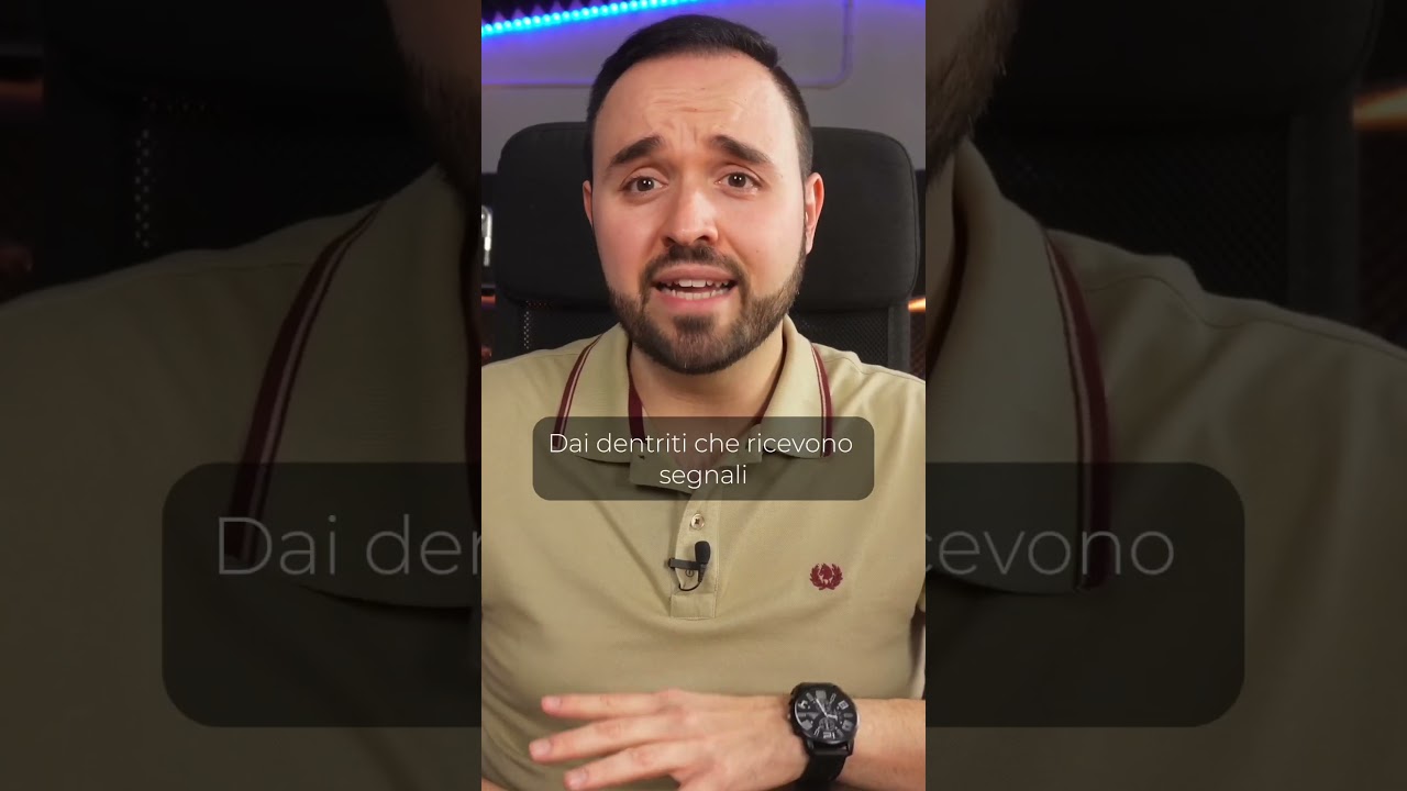 A cosa servono i neuroni?