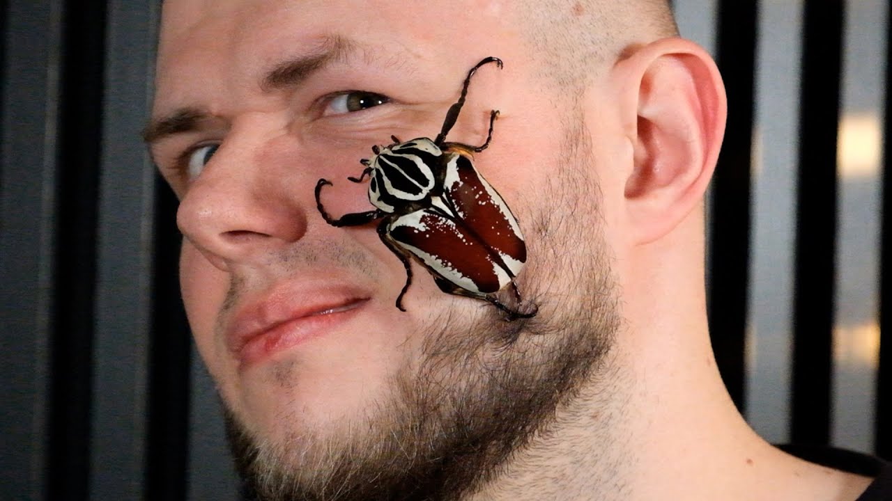 Powr&oacute;t WIELKICH 