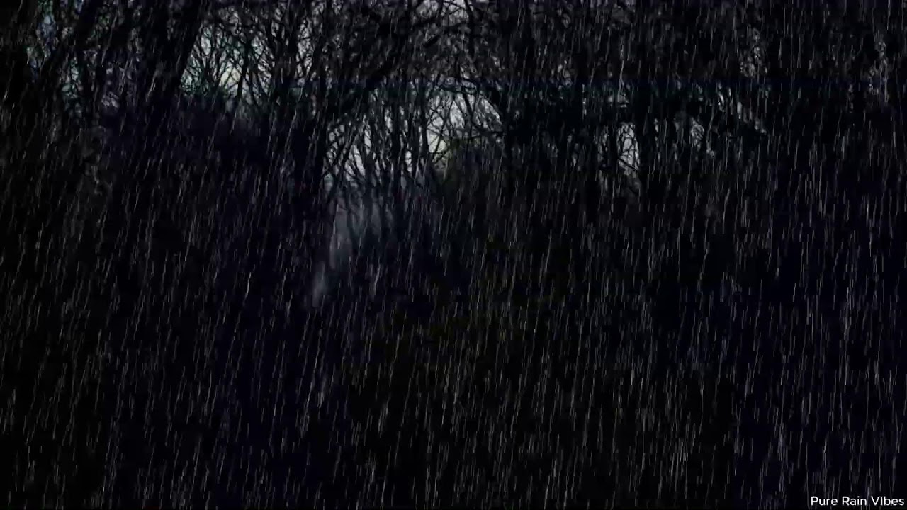 Continuous Heavy Rain Sounds | Black Screen Sleep Aid