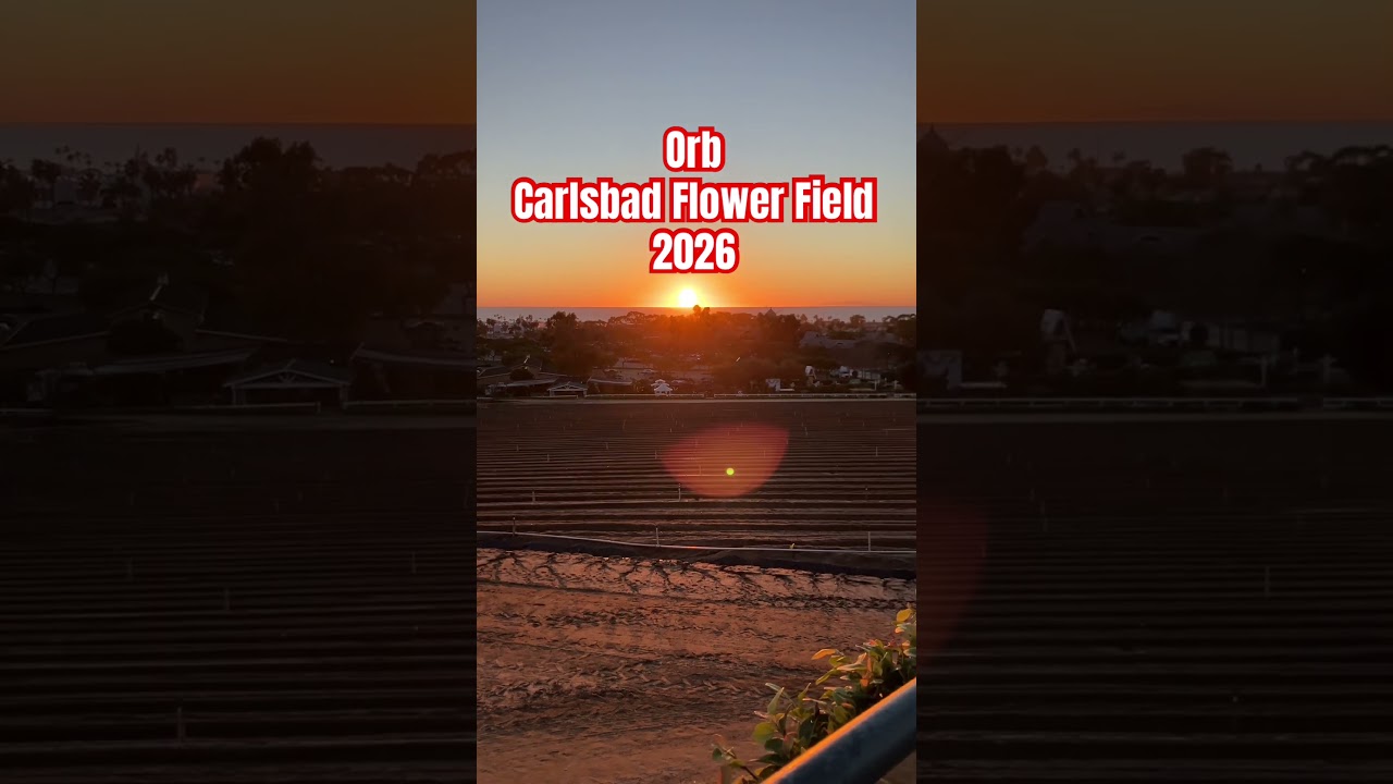 #orb