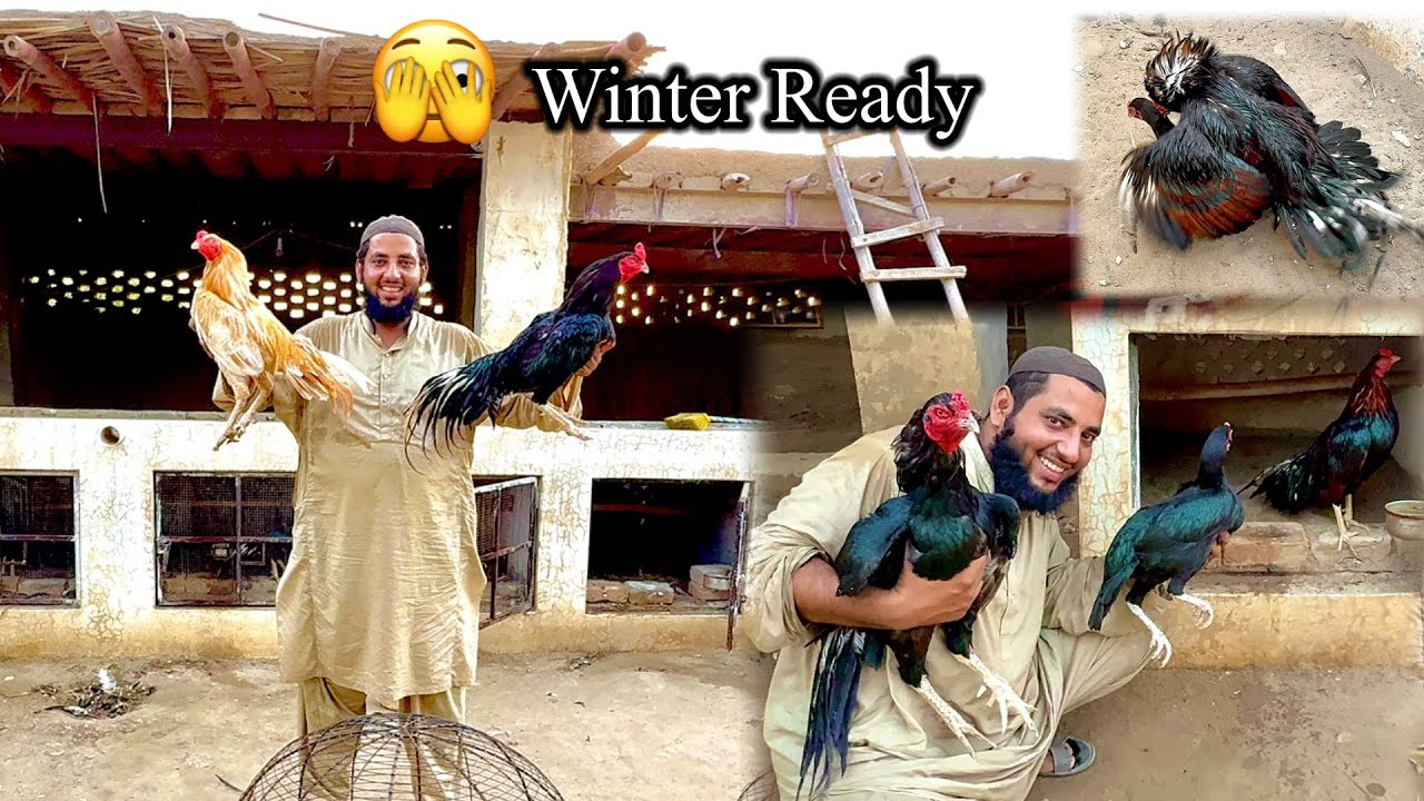 Mini Zoo Ready To Winter And Breeding Season 🫣