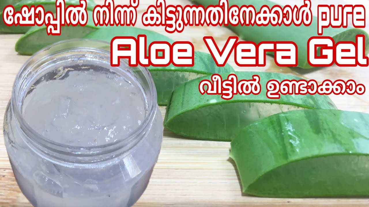 How to make (കറ്റാർവാഴ) aloe vera gel at home easly || Homemade aloevera gel in malayalam.