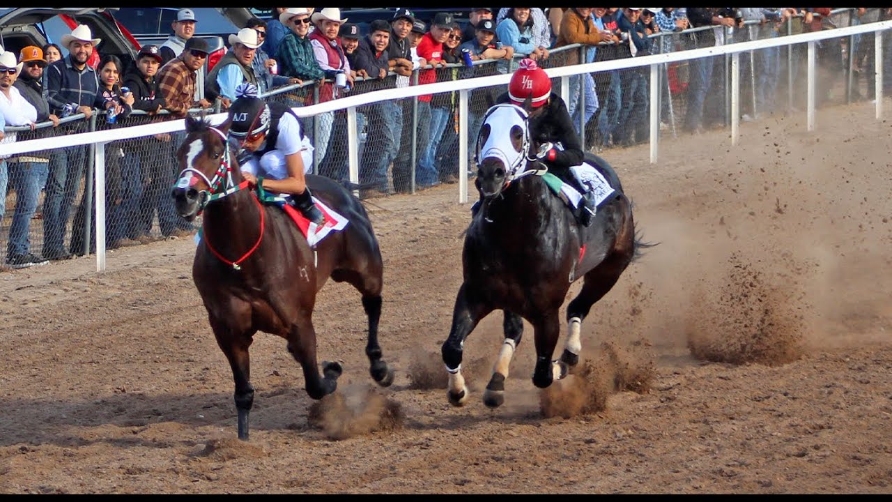 Carreras de Caballos en Santa Ana 23 Noviembre 2025