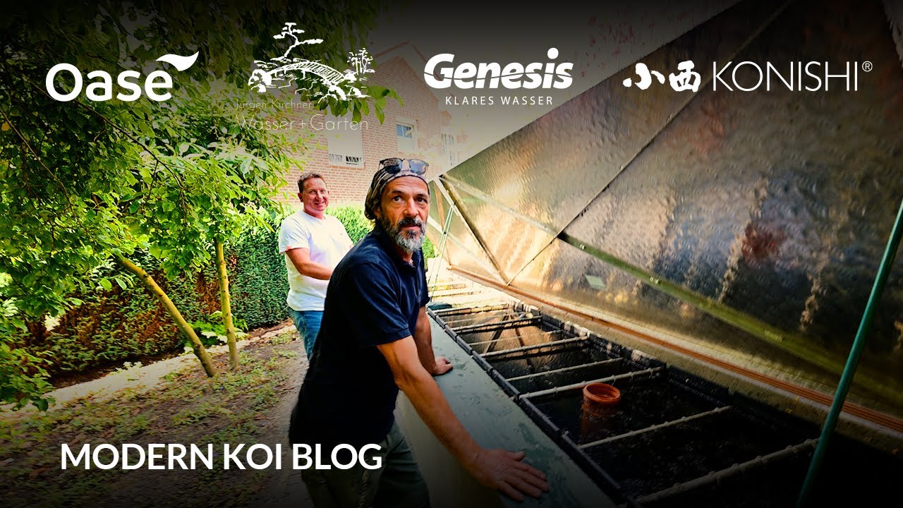 Modern Koi Blog #6061 - Ein einfach gebauter 2.500 Liter Bürstenfilter