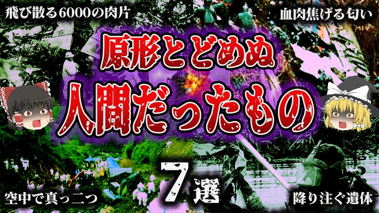 【総集編】遺体判別不能…航空史に残る「壮絶墜落事故7選」【ゆっくり解説】