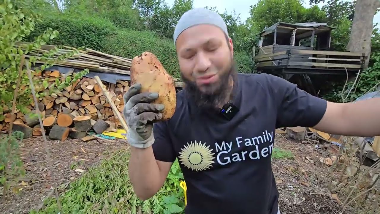 It's Been A Strange Season? - September 2024 Garden Update