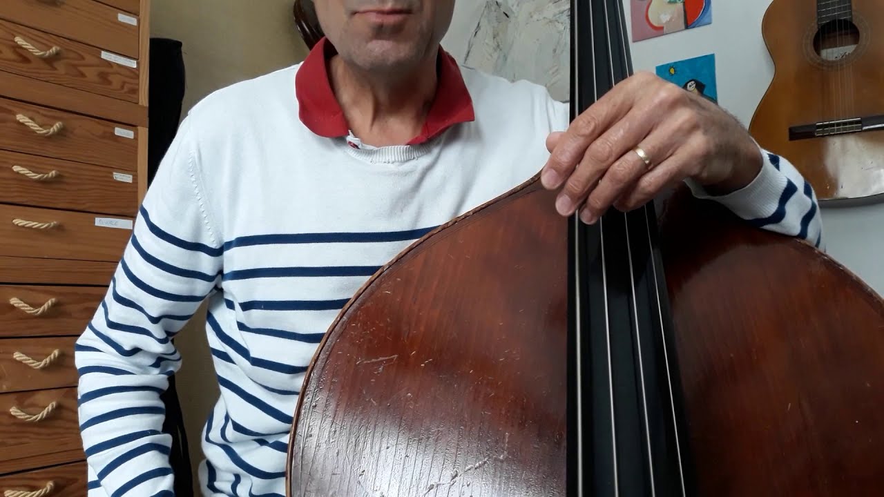 Sons harmoniques à la contrebasse - 1