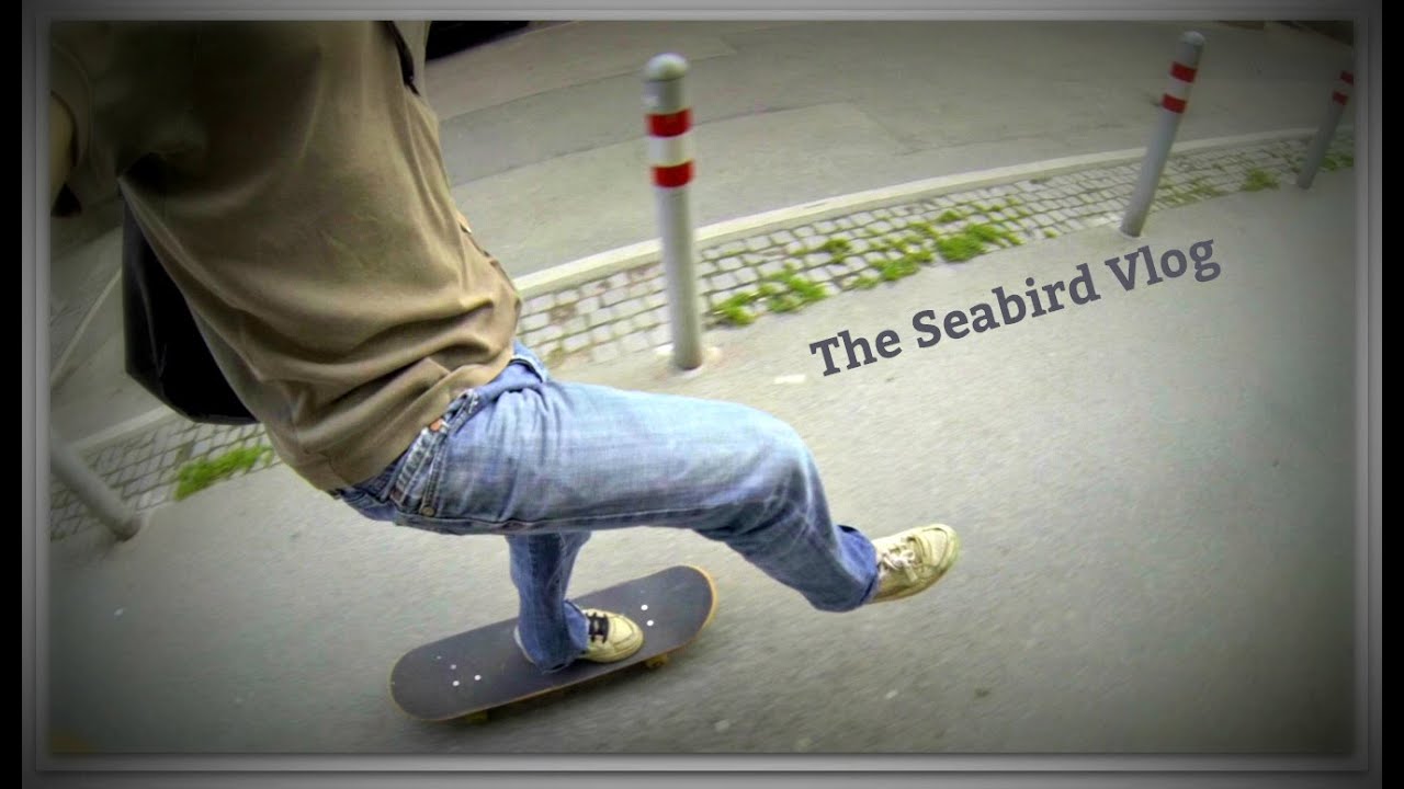 Seabird Skateoboarding!