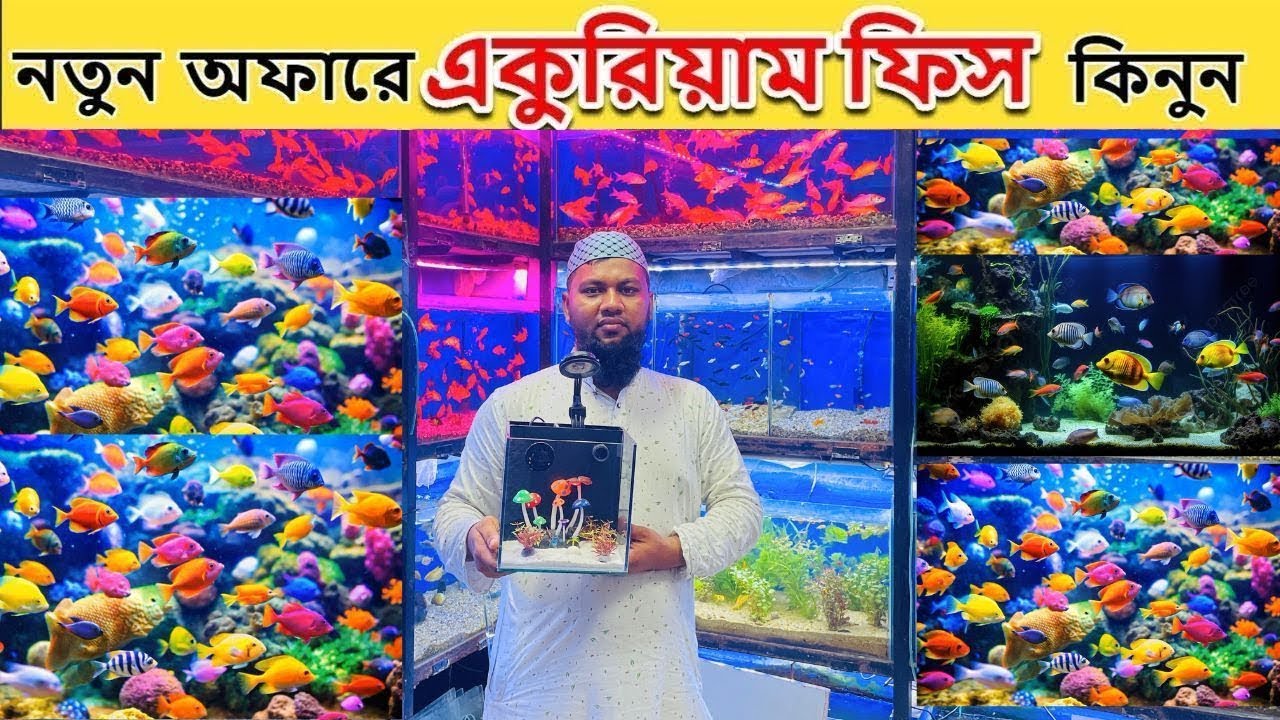 এ্যাকুরিয়ামের মাছ কিনুন Aquarium Fish Price In Bangladesh 2025 Aquarium Fish in BD