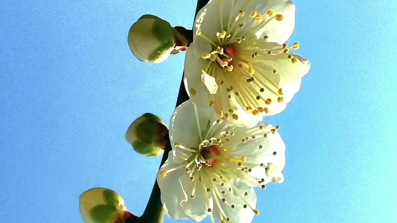 제주 걸매생태공원 (Jeju Geolmae Ecological Park)