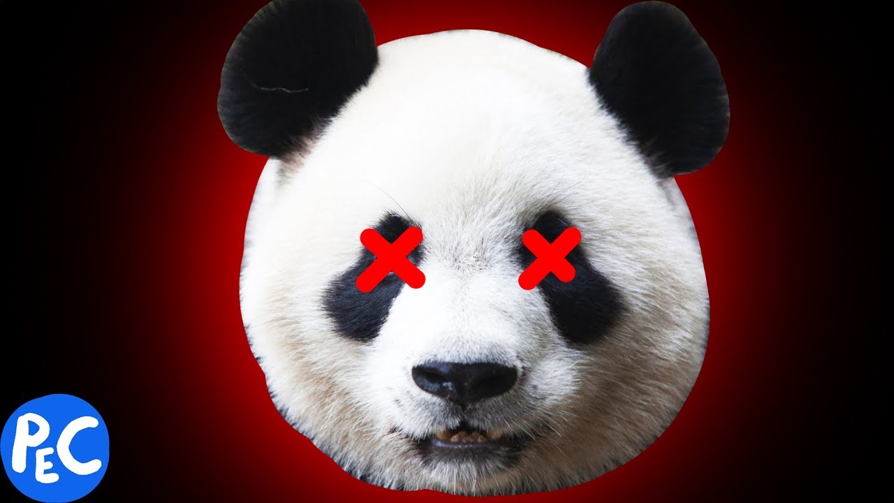 PANDAS DEVEM MORRER?