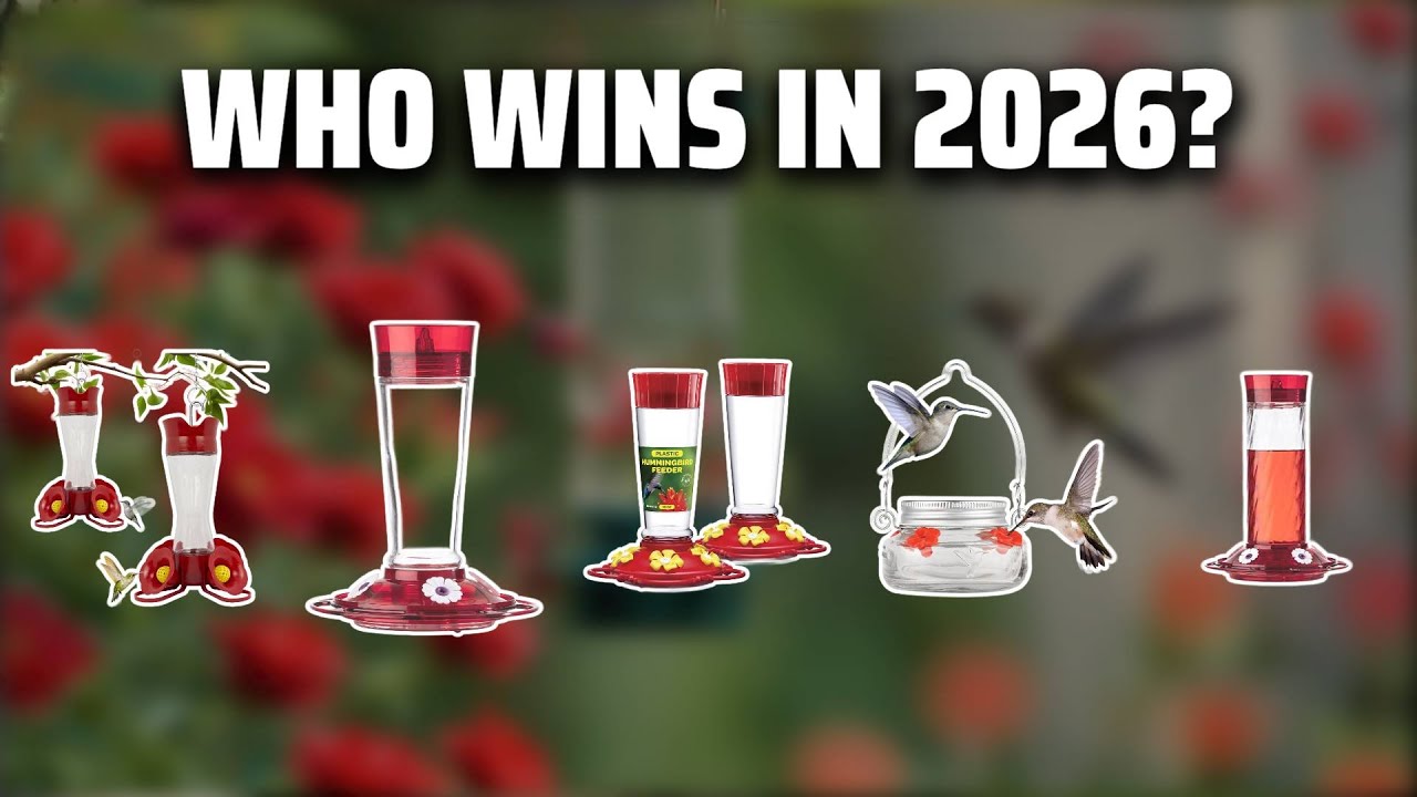 The Top 5 Best Hummingbird Feeders in 2026 - Must Watch Before Buying!