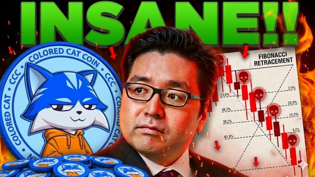 TOM LEE EXPOSES TOSHI 🚨 &ldquo;FAKE PROJECT&rdquo; CLAIM SHOCKS CRYPTO INVESTORS WORLDWIDE