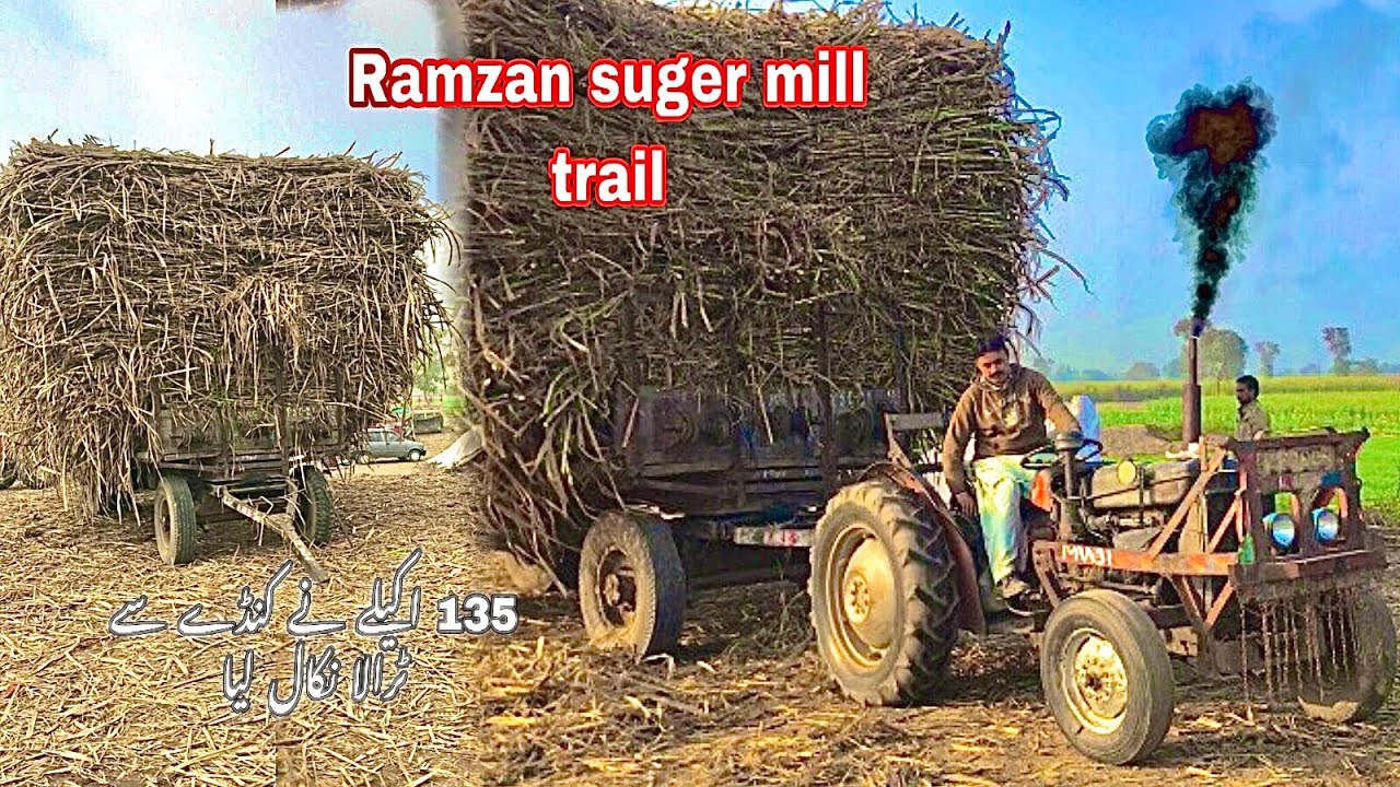 Part 2 ramzan suger mill ki sar 135 tarctor brand prominence 