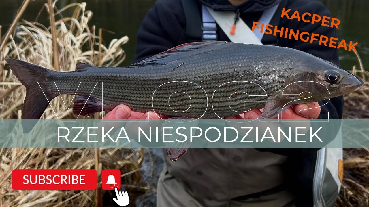 Rzeka NIESPODZIANEK i poszukiwanie wymarzonego PSTRĄGA / odc.2