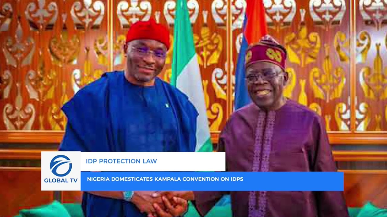 IDP PROTECTION LAW