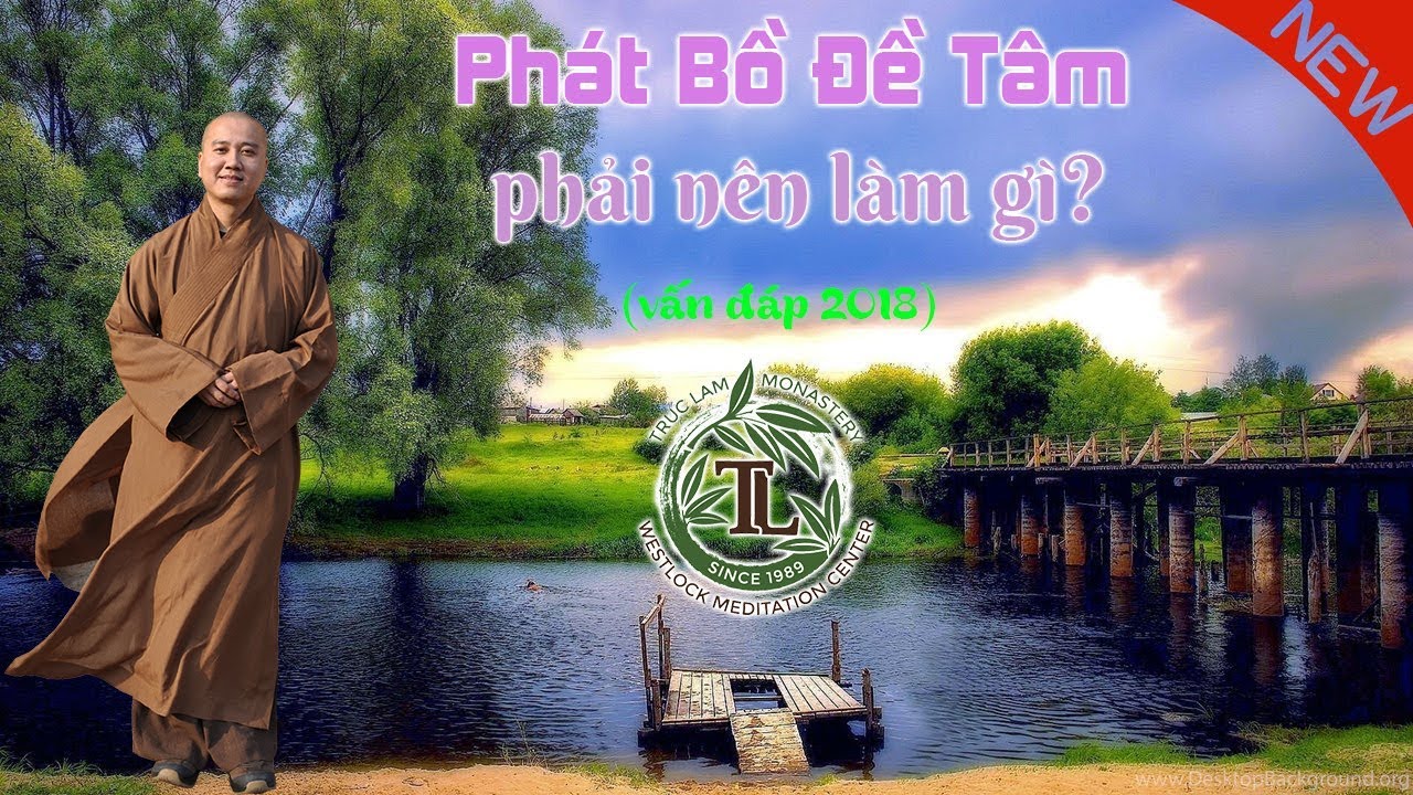 Phát Bồ Đề Tâm phải nên làm gì? (vấn đáp 2018) - Thầy Thích Pháp Hòa