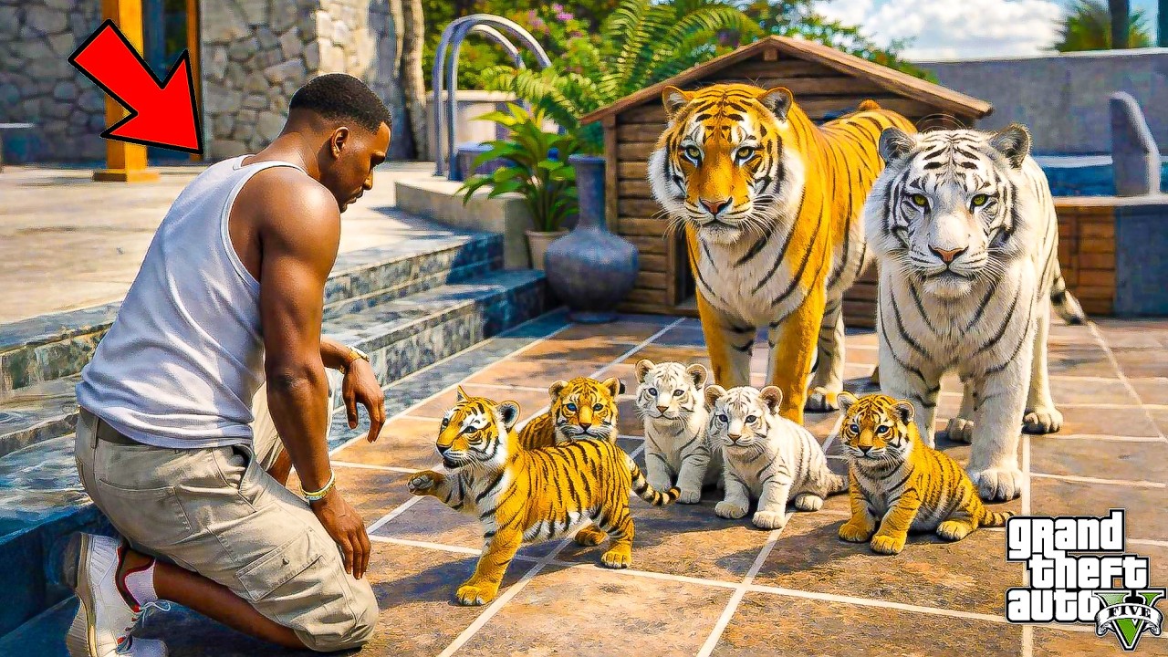 Franklin Finally Found the Dangerous White Tiger 😱 | GTA 5 Telugu | Dhanu Dino