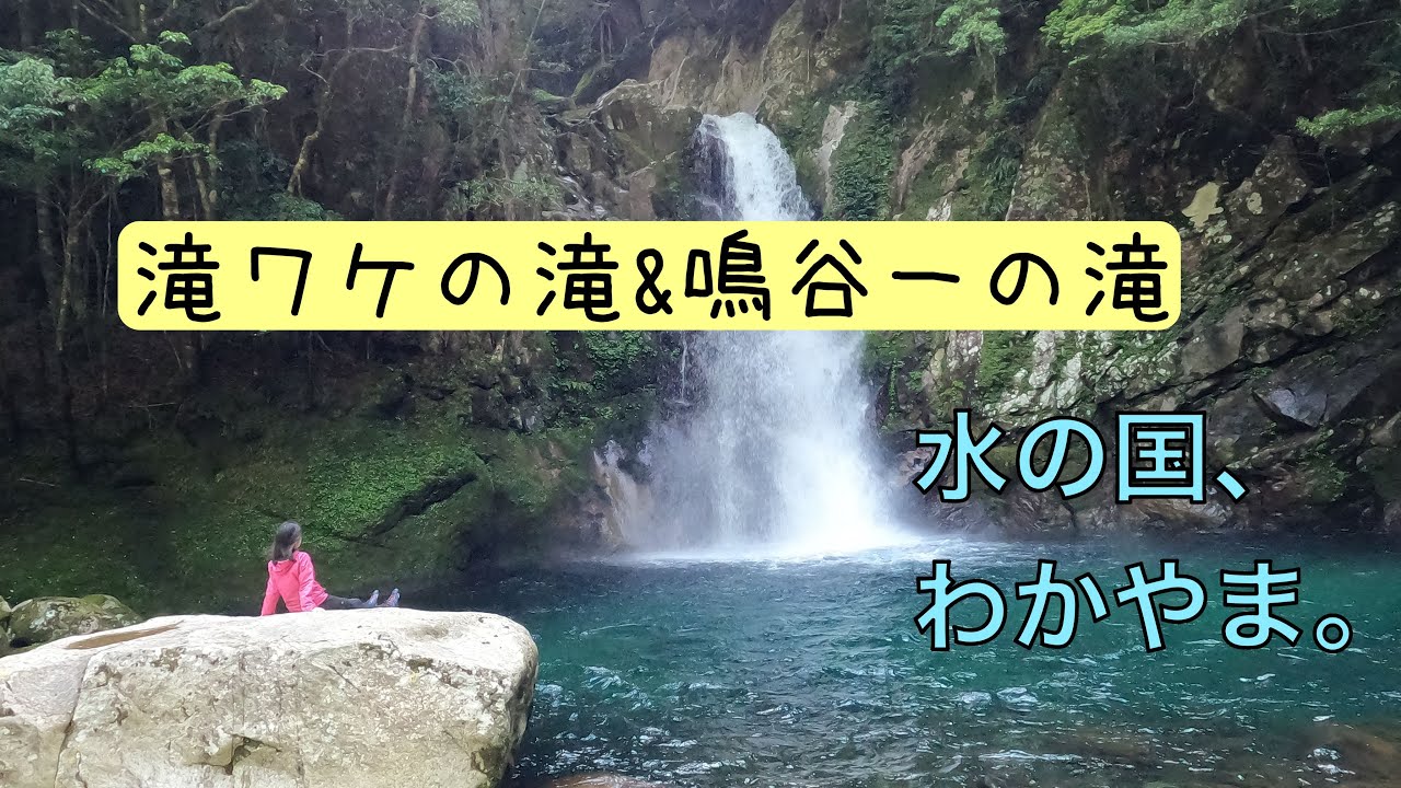 滝めぐり遠征旅、④和歌山県、滝ワケの滝&鳴谷一の滝