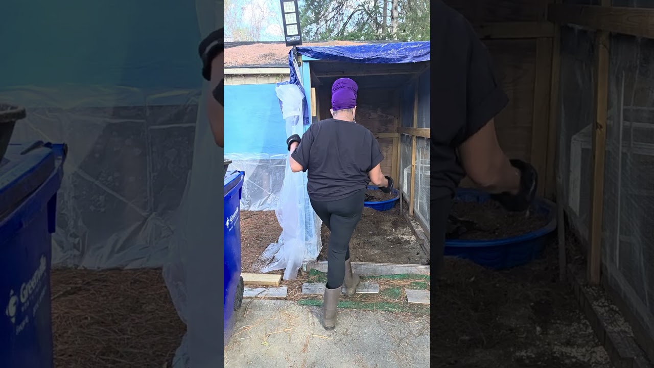 Spring cleaning coop 1.2