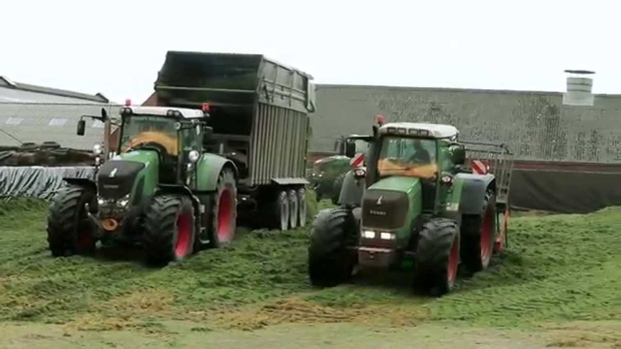 Grass Forage Danish Agriculture