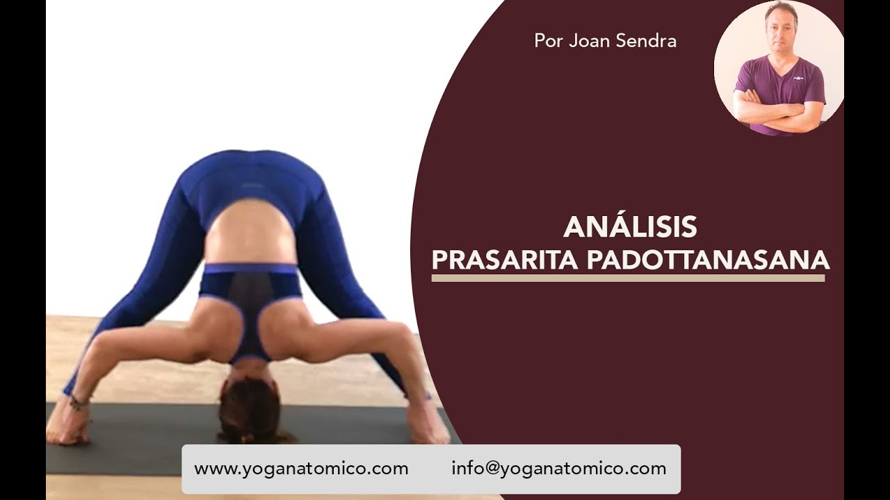 PRASARITA PADOTTANASANA
