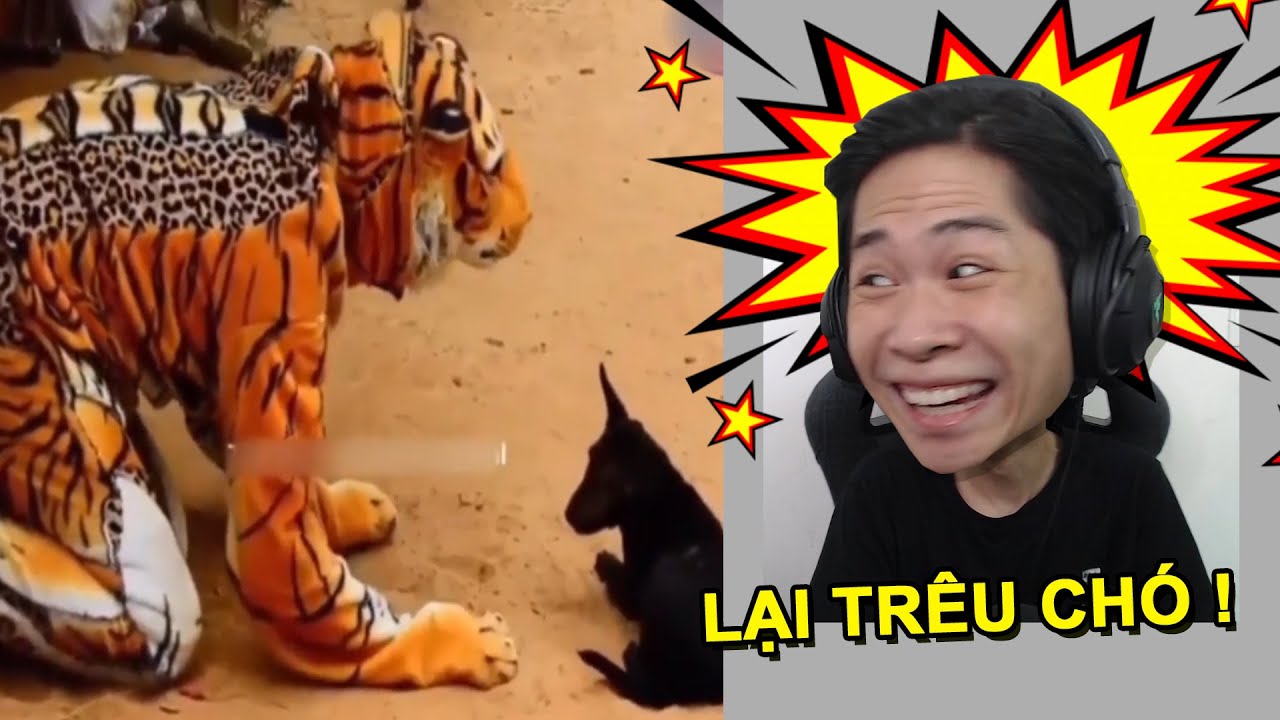 300 TẤN MUỐI ĐÃ ĐƯỢC CHO VÀO VIDEO NÀY !!! (Pobbrose TTCC) ✔