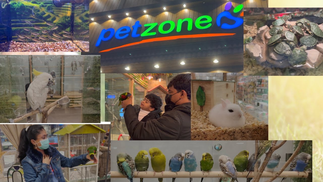 PET ZONE, Кувейт VLOG 🐠🦜🐇🐿🐢 | Стиль с Сэнди
